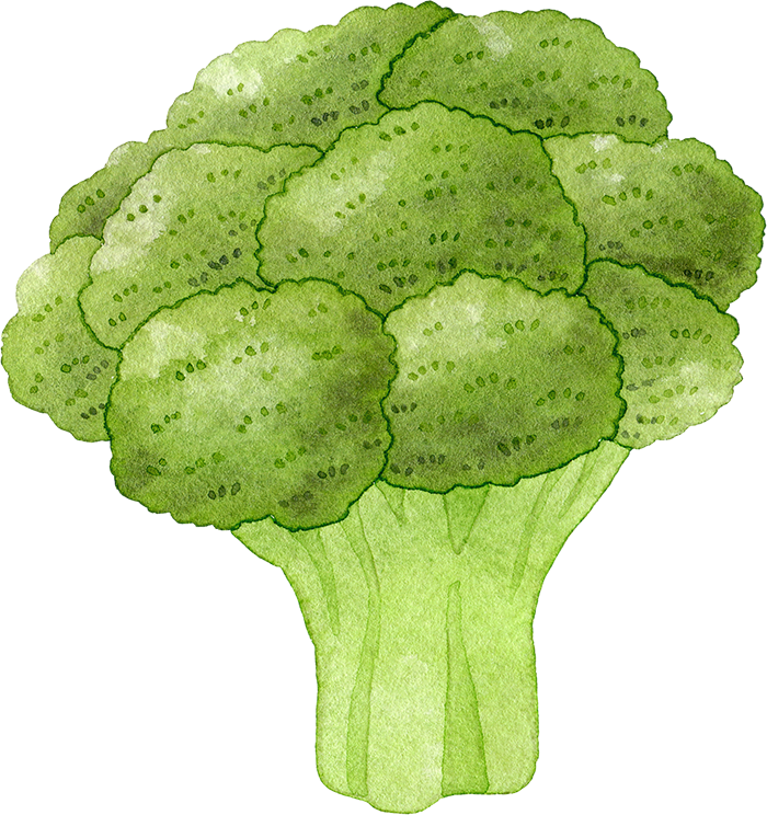 ブロッコリーの水彩イラスト | 水彩の挿し絵屋さん
