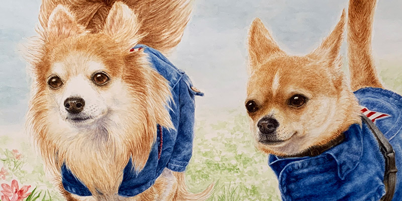 チワワ犬2匹の絵【完成例】ダブルポートレートのペット肖像画
