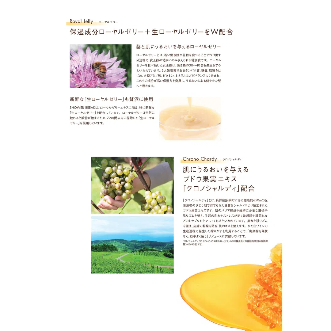 セット品］POLA シャワーブレイク シャンプー10L＆コンディショナー10L