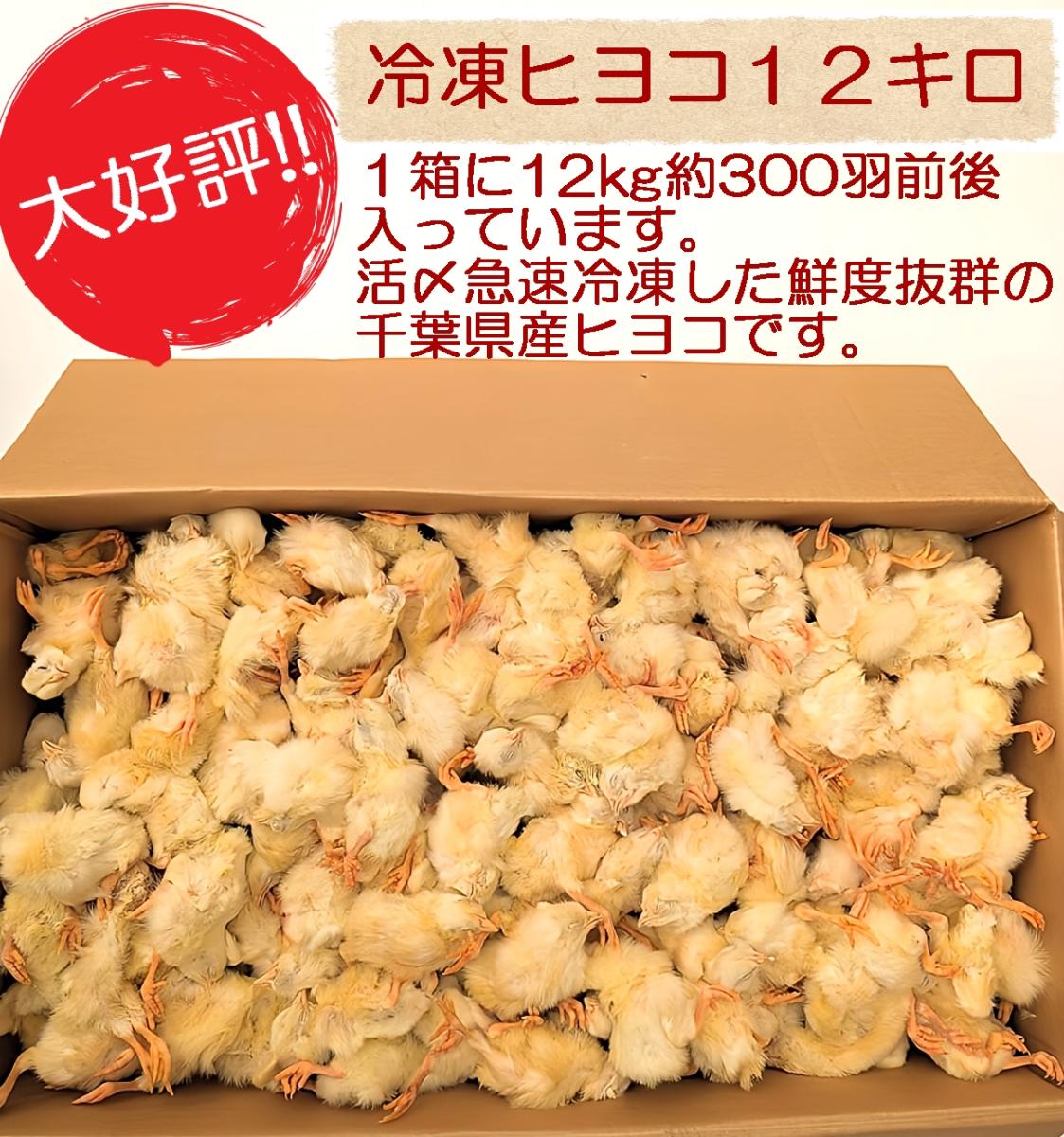 冷凍ヒヨコ 冷凍ひよこ 箱詰め12Kg（約300羽）の販売情報