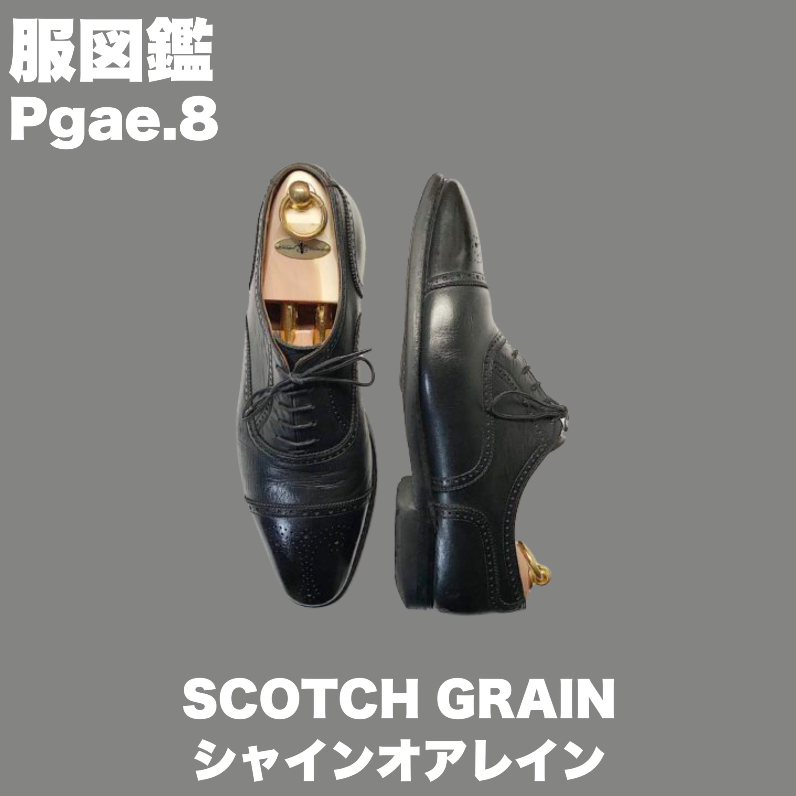 致命的な欠点あり！スコッチグレインのシャインオアレインを3年履いて