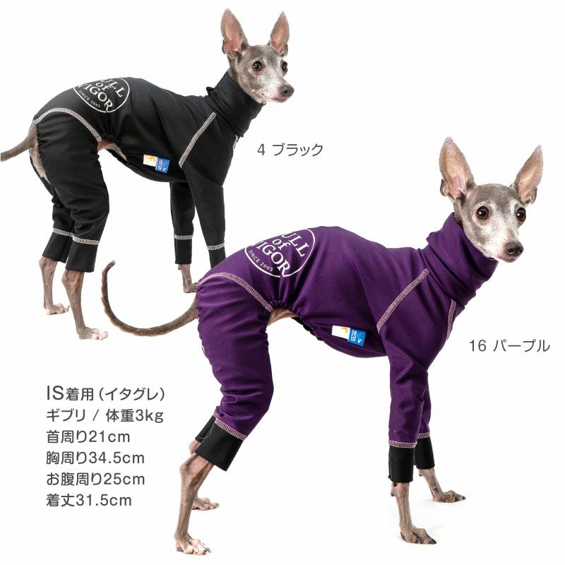 イタグレ用 伸びて 着せやすい ドッグプレイ(R) サークル プリント 撥