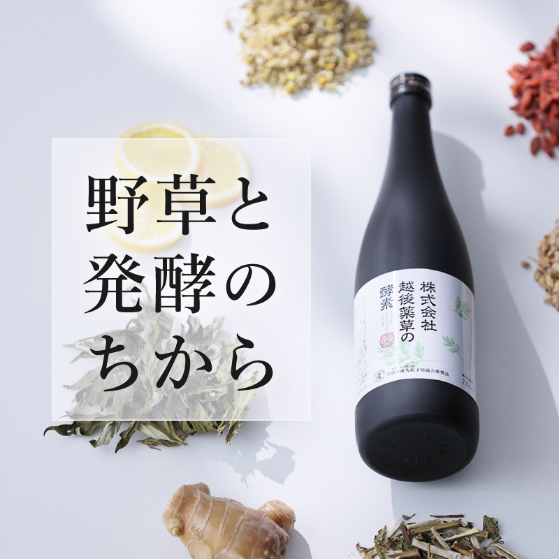株式会社越後薬草の酵素 720ml 6本 越後薬草 植物発酵飲料 野草酵素