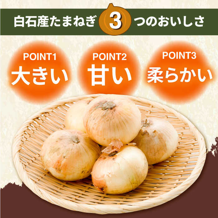 白石産 玉ねぎ 約20kg たまねぎ 玉葱 タマネギ 玉ねぎ 白石町産玉ねぎ