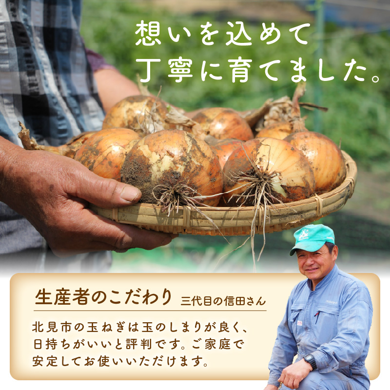 予約：2024年10月中旬から順次発送】日本一の玉ねぎ生産地！信田農園の