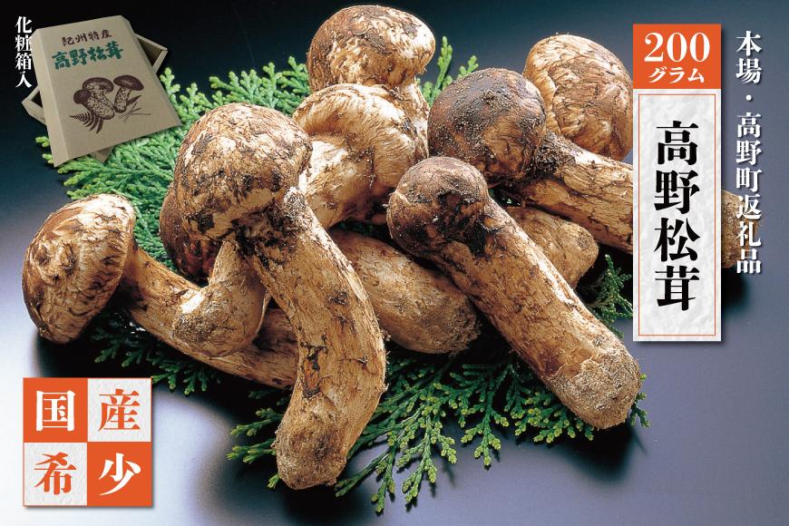 2026年発送分］香り・歯応え・味ともに最高級！希少な国産松茸「高野