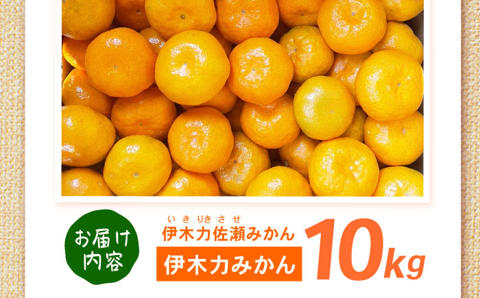 伊木力みかん 10kg / 諫早市 /伊佐農園 [AHFI016]