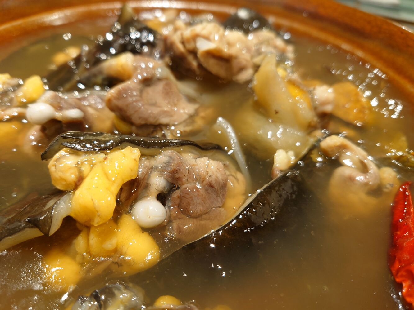 すっぽん料理の魅力と日本料理での楽しみ方 #すっぽん料理 日本料理