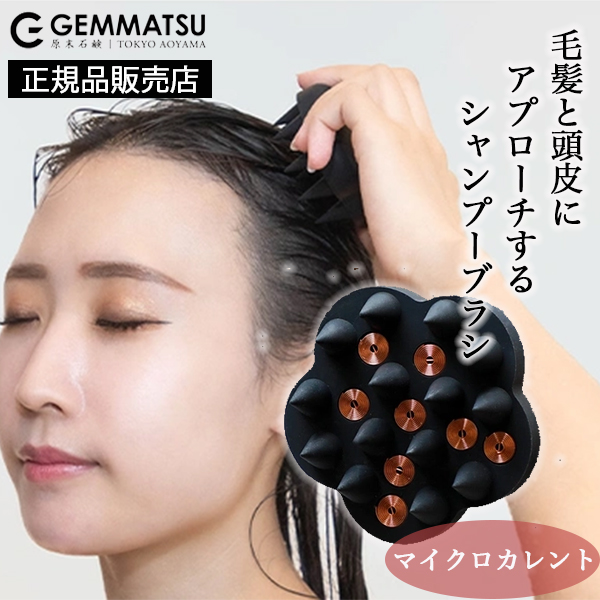 G-ZERO マイクロカレント プロ ザ シャンプーブラシの通販情報 - 風船