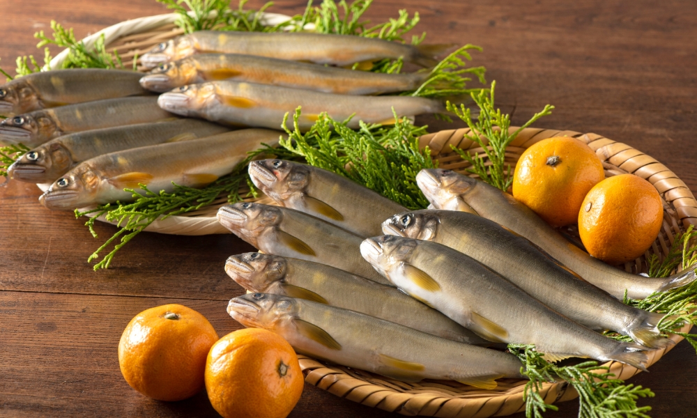 送料込み】冷凍柑味鮎 1㎏（かんみあゆ） | 椹野川漁業協同組合（旅