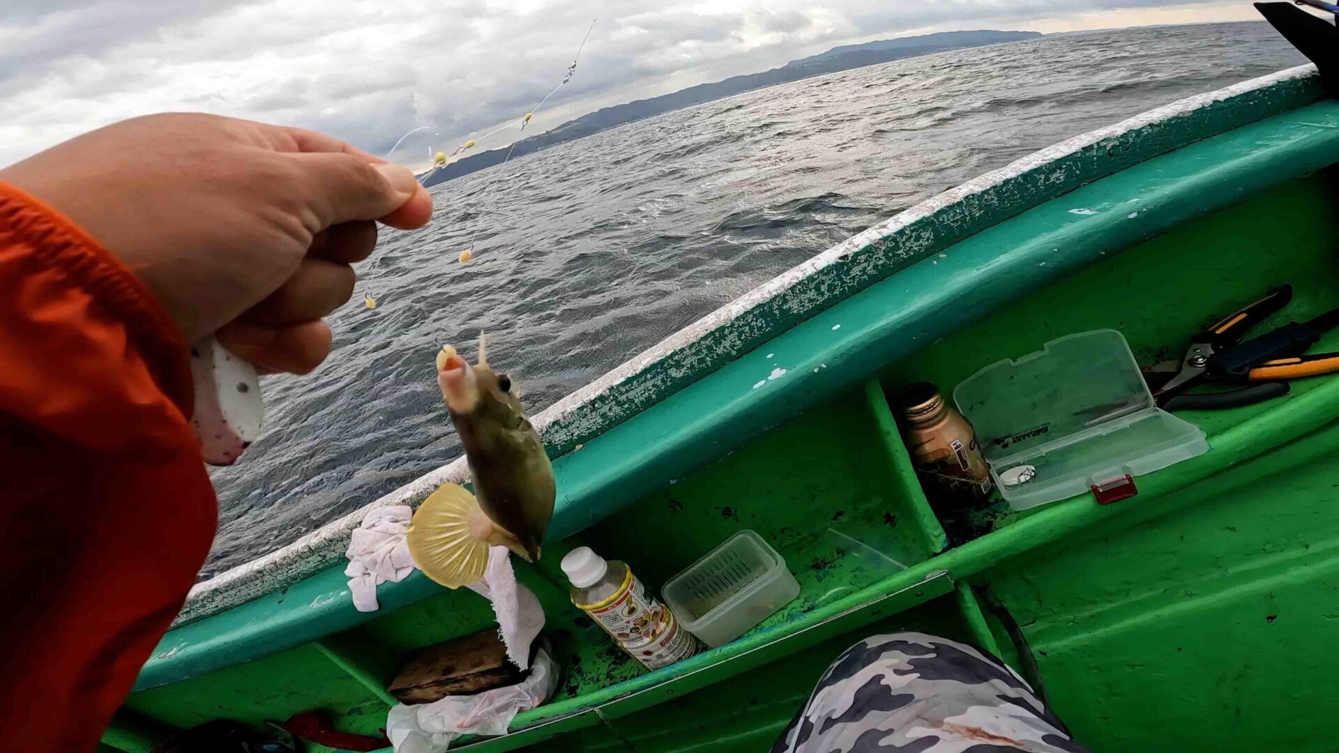 極鋭カワハギAIRボトムで竹岡沖攻略｜ふっつのひと