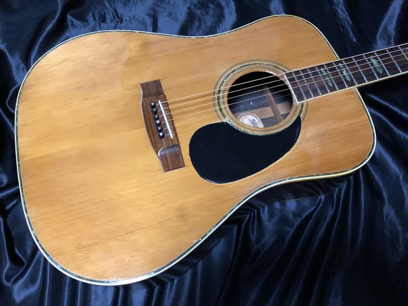 Hill Billy / W-60 - HR/HMギター専門店 FUTURE WORLD