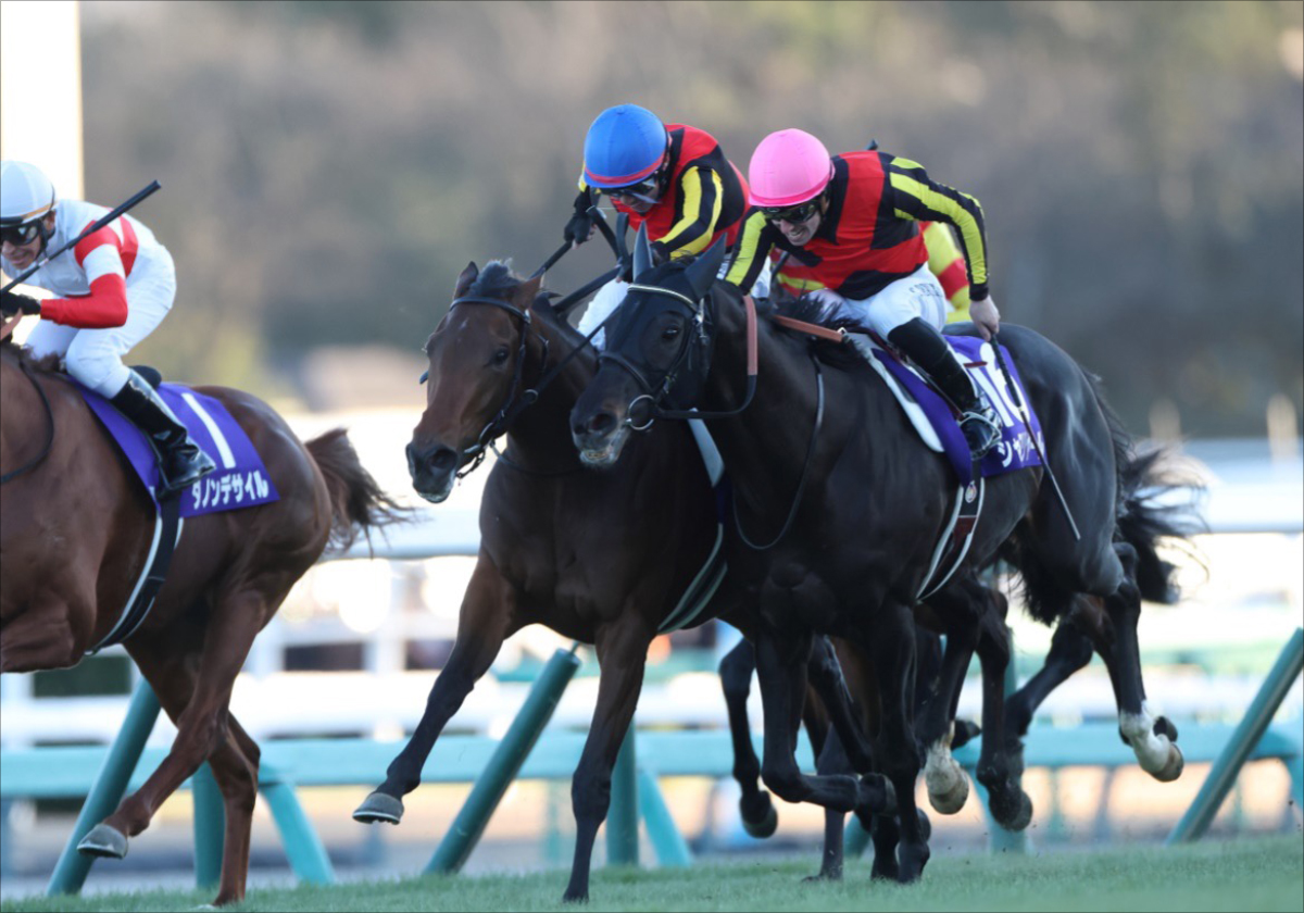 JRA 「シャドーロールの怪物」ナリタブライアンと「最後の個性派