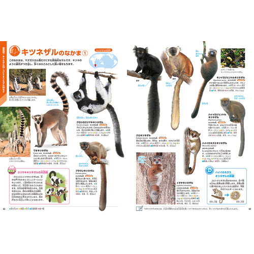 学研の図鑑LIVE（ライブ）|動物 新版|姉崎 智子(監修)|ショップ学研＋