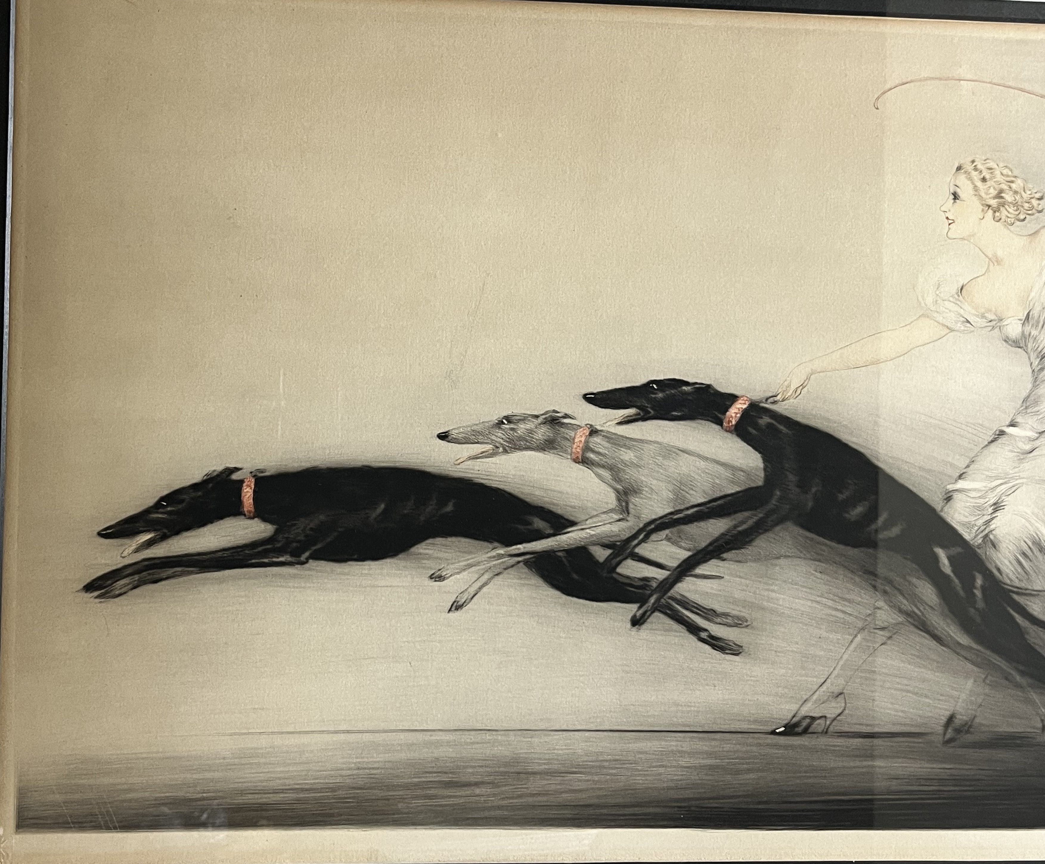 IMG_5905.jpg?v=1727688387&