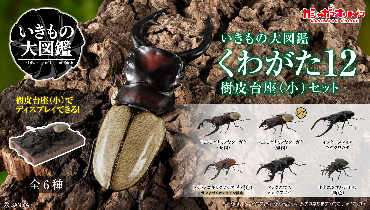 いきもの大図鑑｜ガシャポンオフィシャルサイト