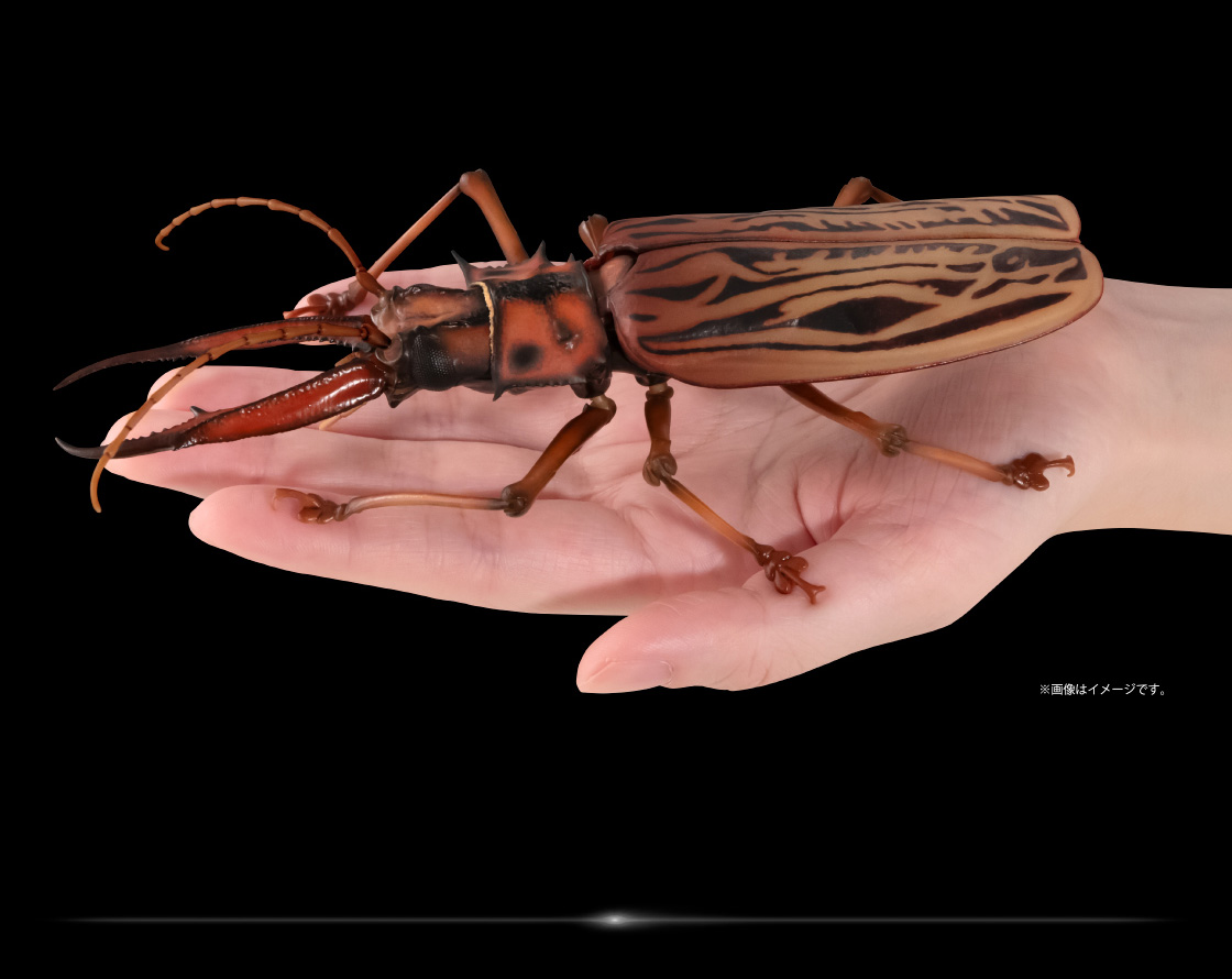 いきもの大図鑑アドバンス オオキバウスバカミキリとハンミョウ