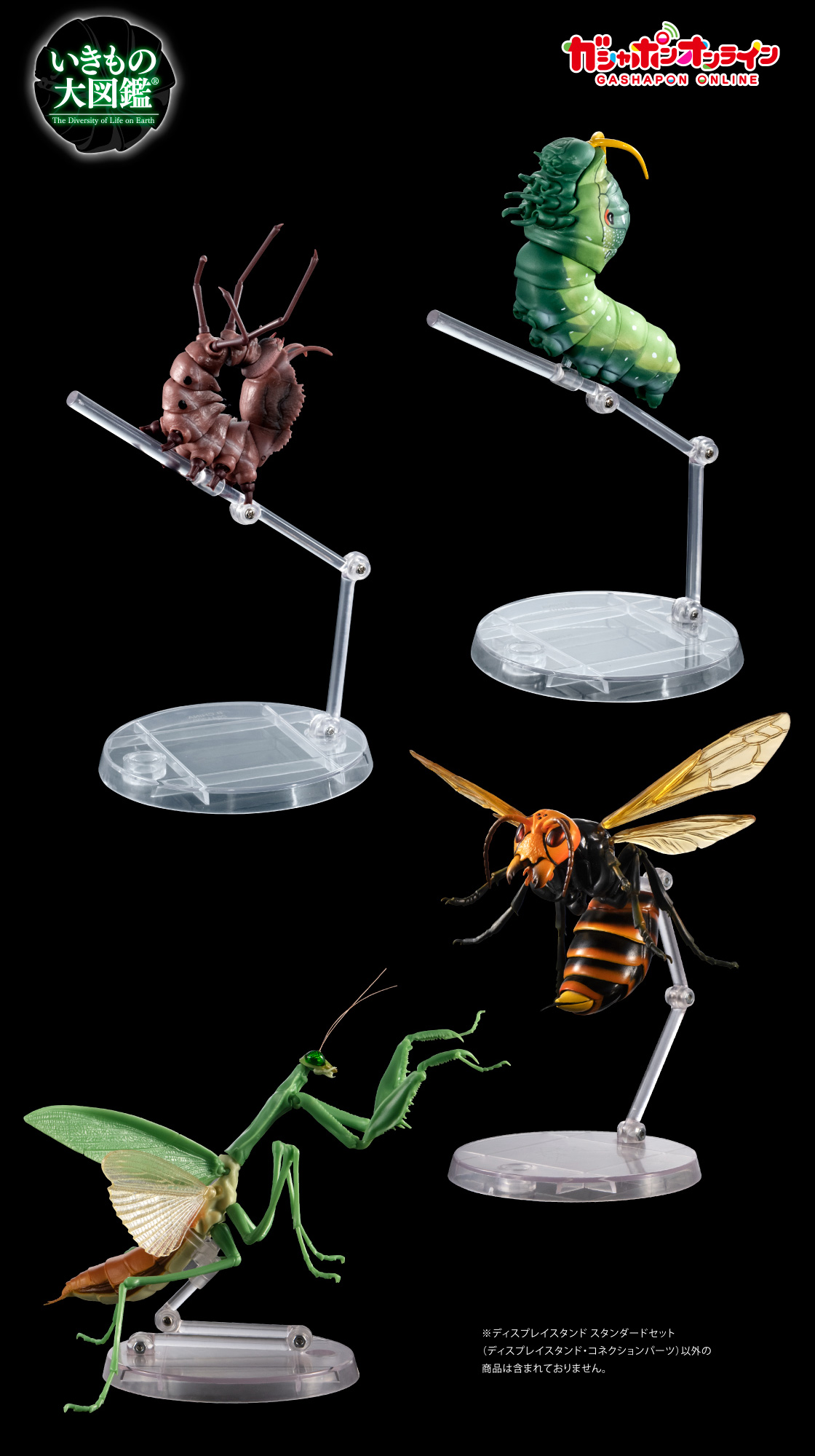 いきもの大図鑑専用 ディスプレイスタンド スタンダードセット