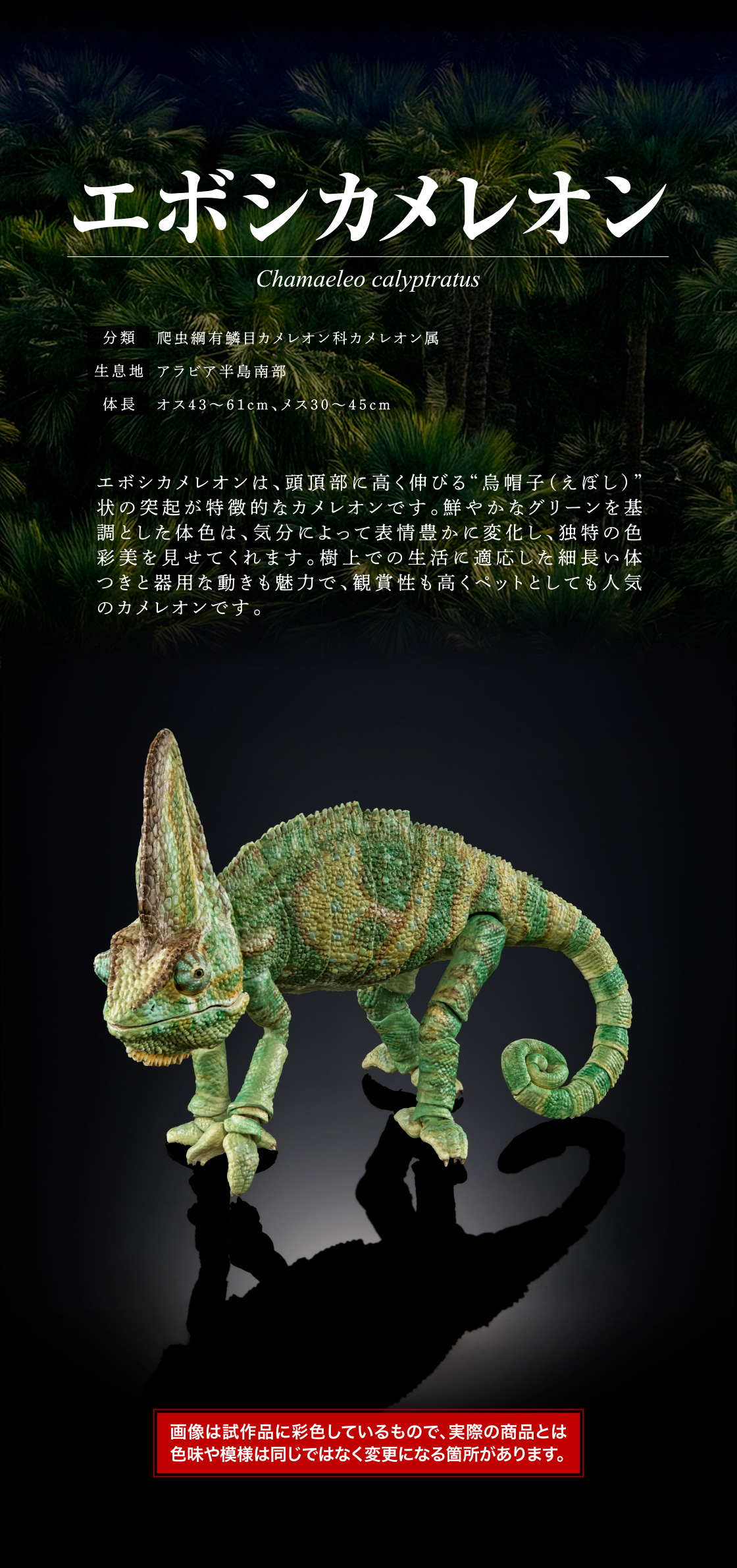 いきもの大図鑑プレミアム エボシカメレオン｜いきもの大図鑑