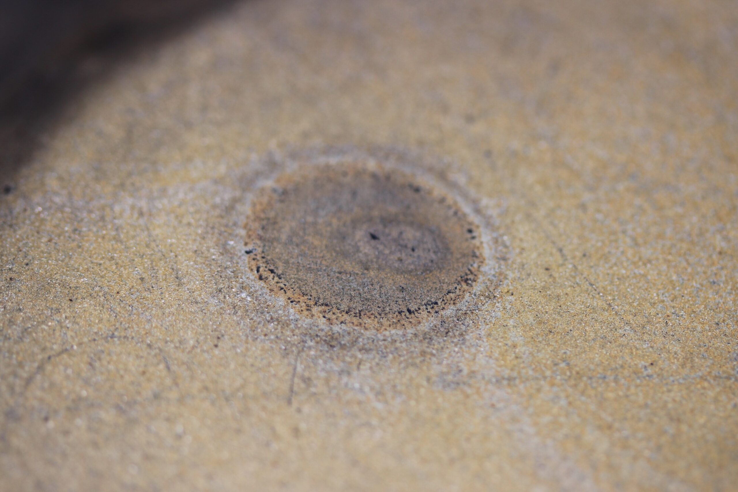 新古美術 玄清堂 | 厳選された美術品を世界遺産「石見銀山」がある島根