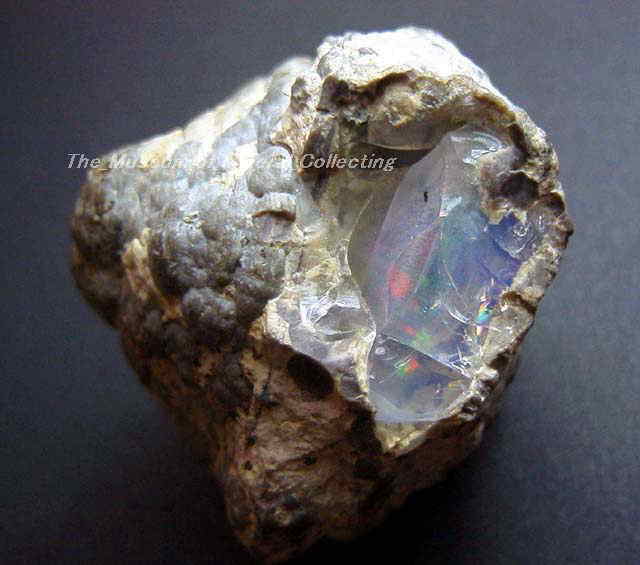Nobleopal_housaka.jpg