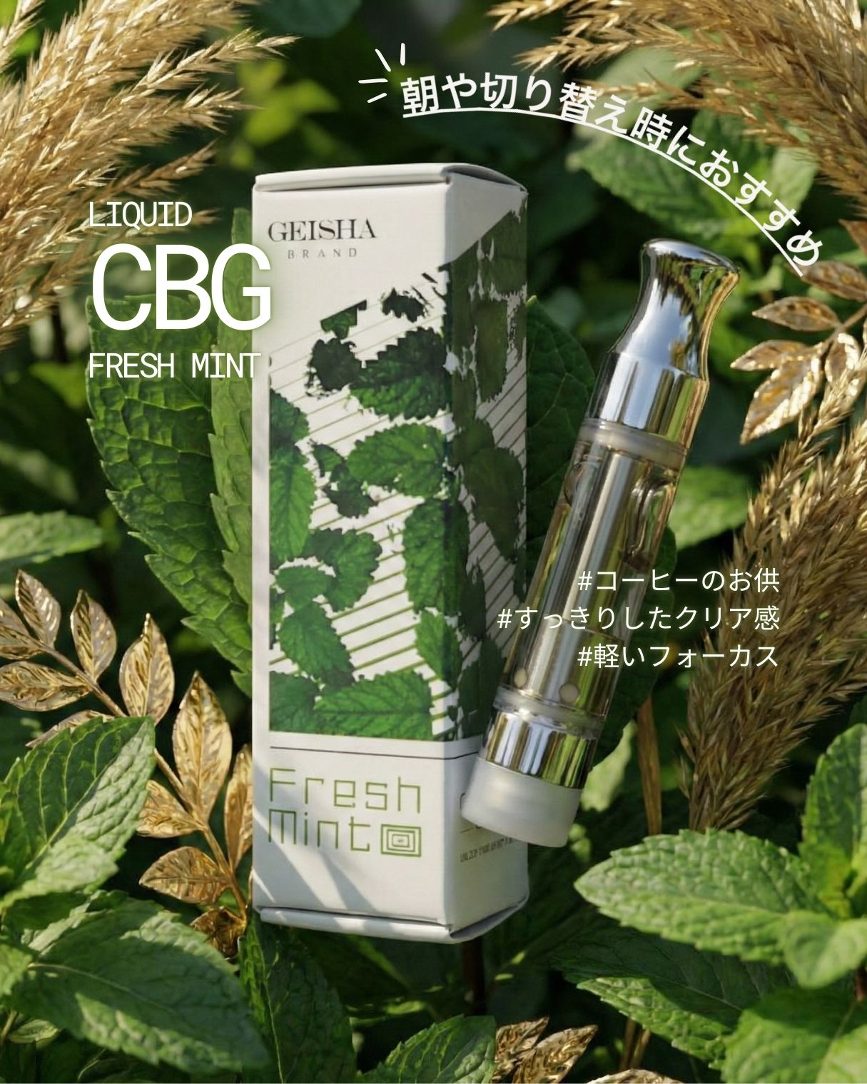 cbgtop.jpg?v=1769524403