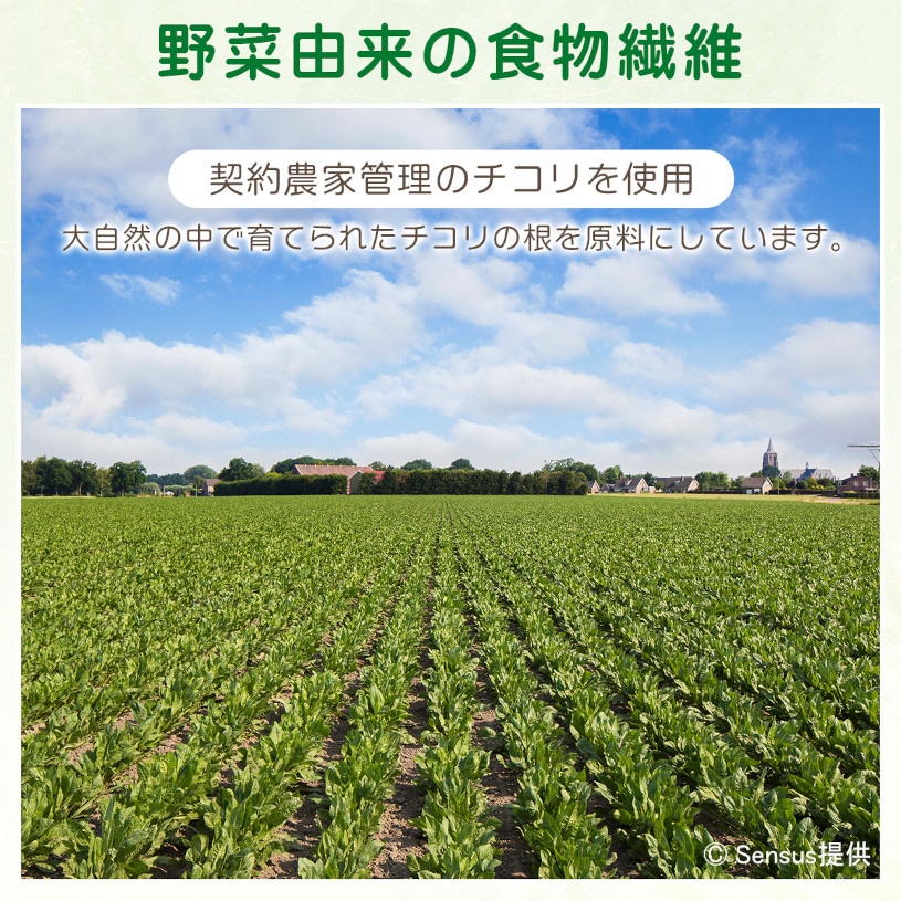 機能性表示食品】天然由来 イヌリン の販売 | 【NICHIGA（ニチガ