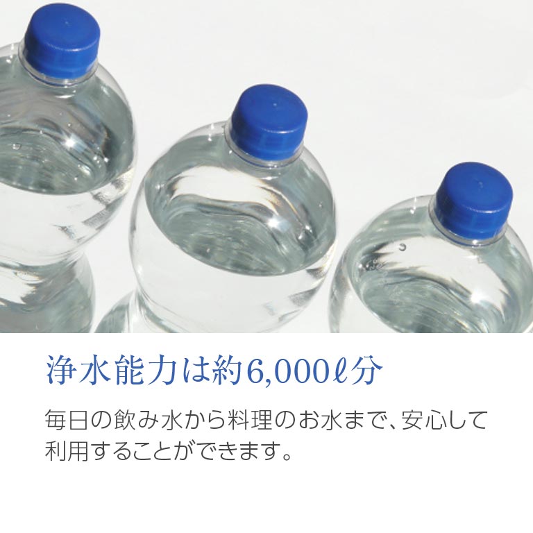直送】 家庭用浄水器 ツインe 【設置サービス付き】｜nihonchokuhan