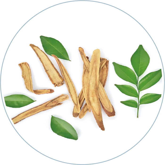 クリスティーナ イラストリアス アブソリュート ブライト CHRISTINA