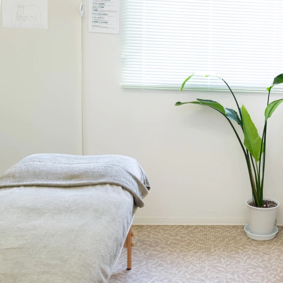 WINBACK ファシアブレードセット | WINBACK(ウィンバック) | エステ