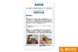 エキゾチック 臨床シリーズ│獣医学書籍・雑誌・本の出版社 学窓社