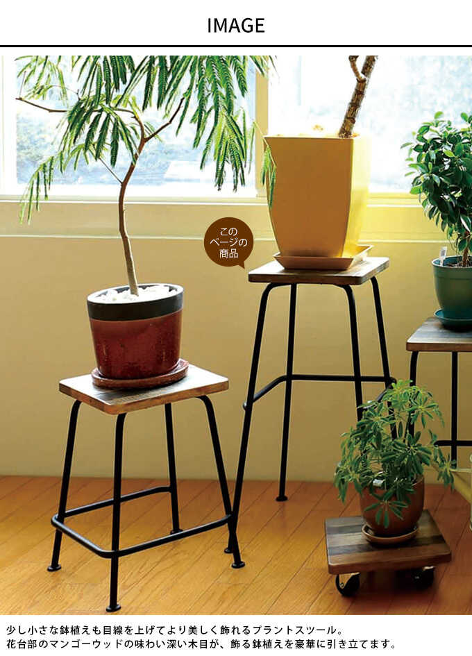 フラワースタンド 木製 高さ60cm 花台 プランタースタンドスツール