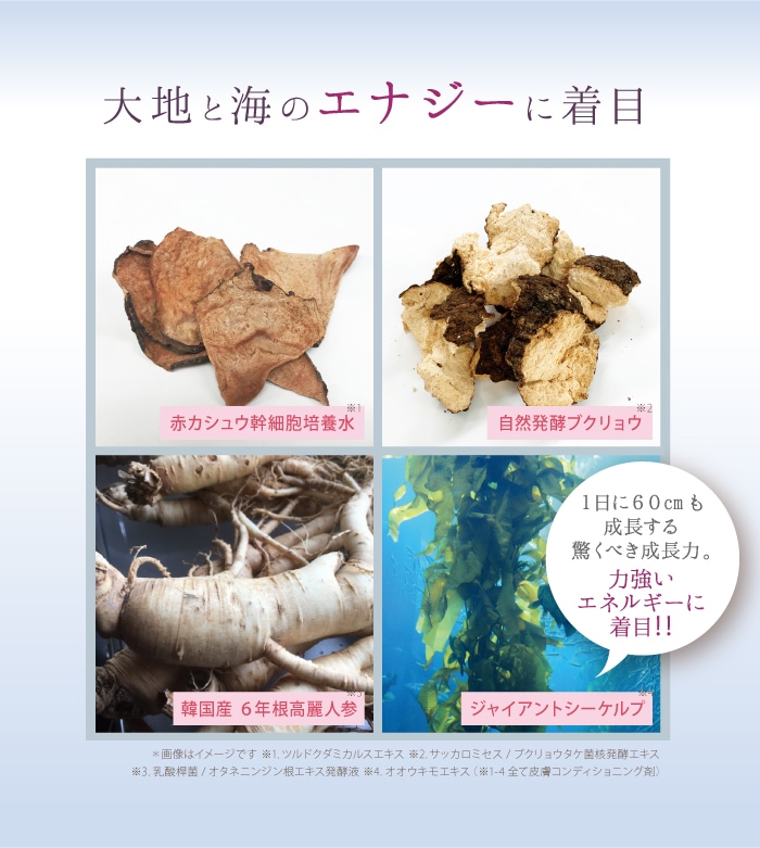 サイムダン プレミアム STEM モイスチャー パーフェクト リッチ