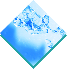 KADASON薬用スカルプシャンプー詰替用 でかソン ：：脂漏性皮膚炎の