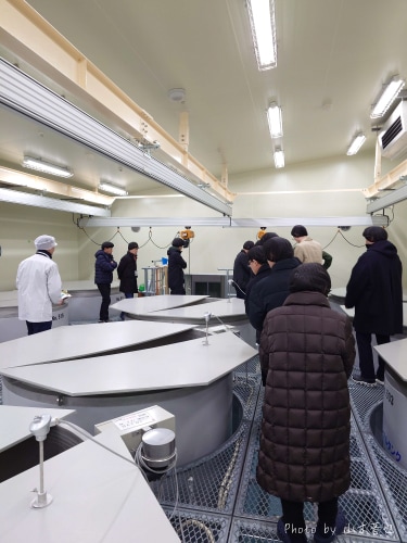 酒のやまもと | 【田酒】 西田酒造店見学