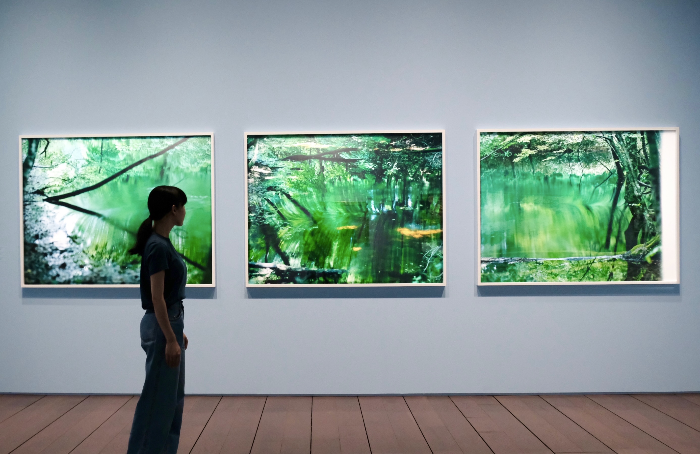 それは写真か、それとも絵画か。「写真と絵画―セザンヌより 柴田敏雄と