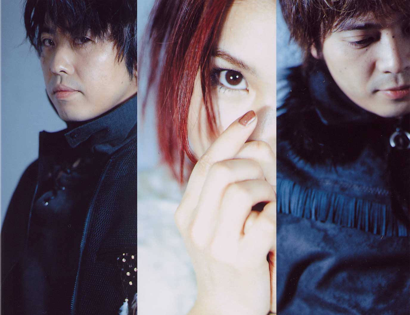 Profile & History - gitane.org