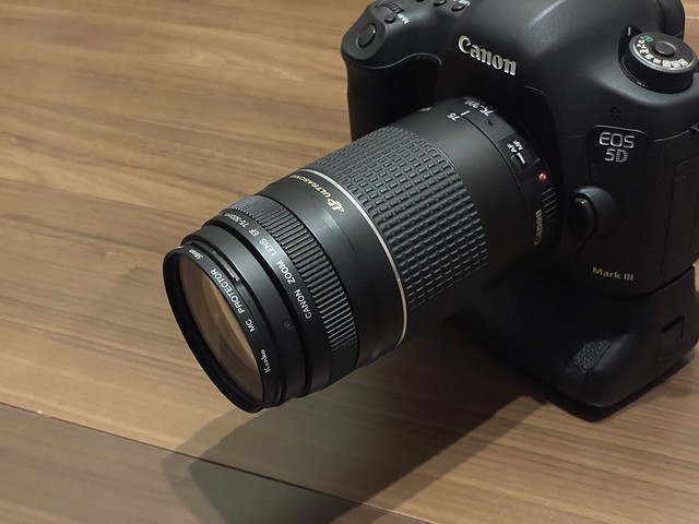 CANON EF75-300mm f4-5.6 iii レビュー:コスパ抜群の望遠ズームレンズ
