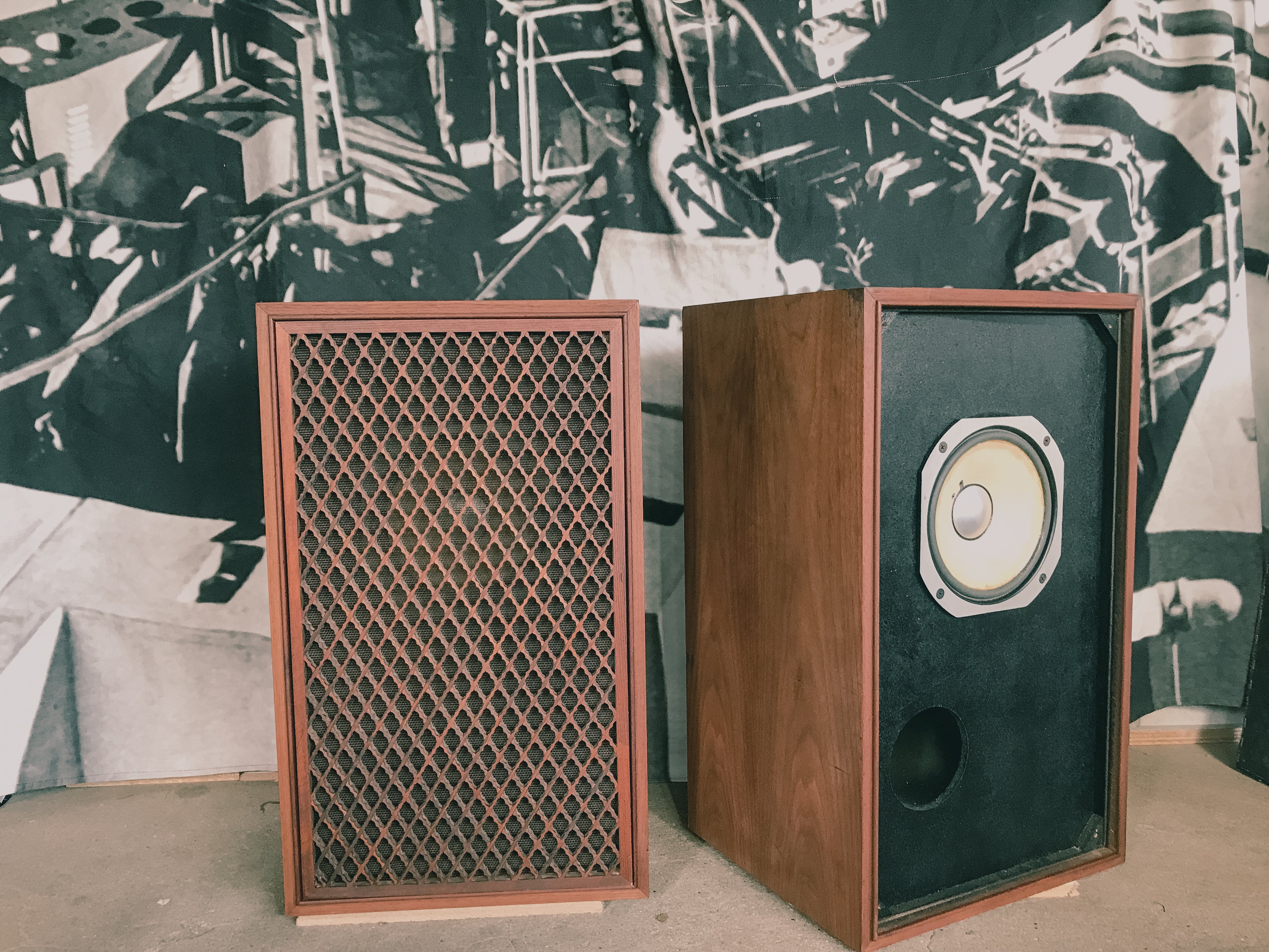 IMG_7345.jpg?v=1673162814&