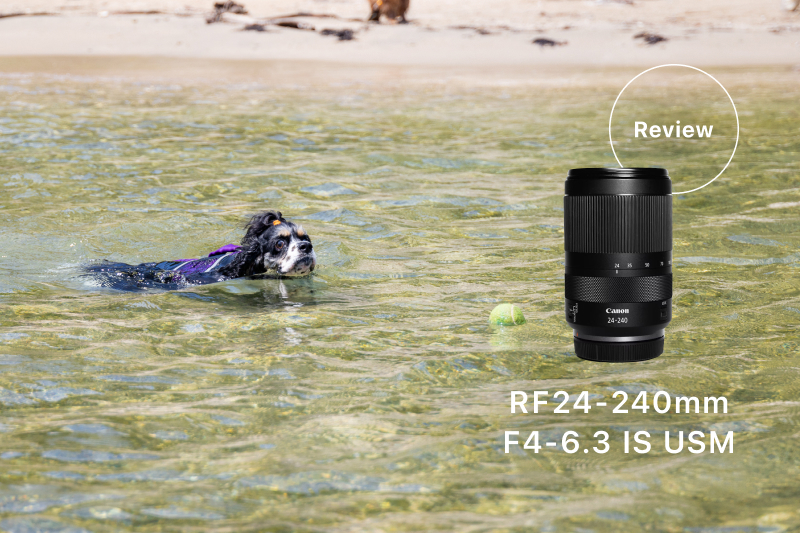 Canon RF24-240mm F4-6.3 IS USMレビュー！愛犬との水遊びや旅行に便利
