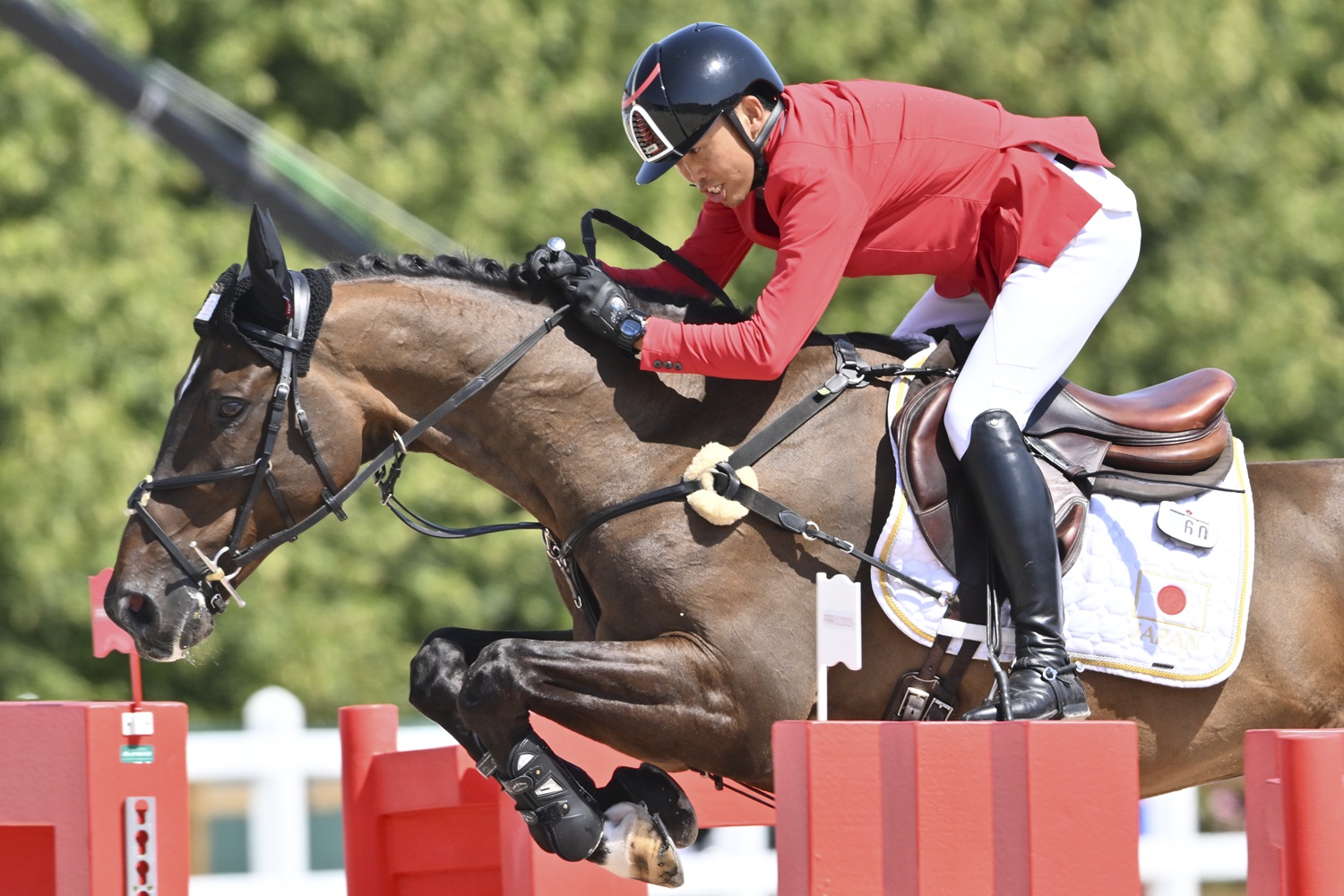 馬術で92年ぶりの快挙を達成した“初老ジャパン”のエース、戸本一真の