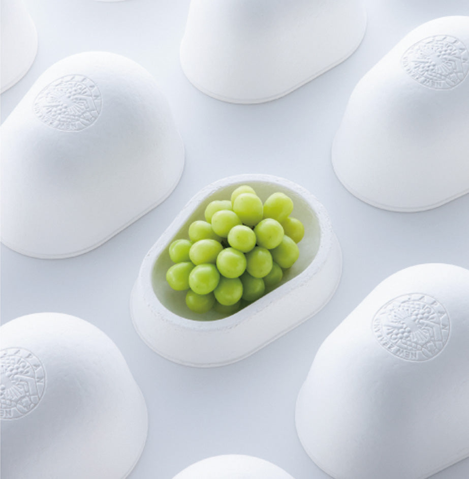 表旬 -頂- シャインマスカット【販売期限2025年10月17日】 – 株式会社