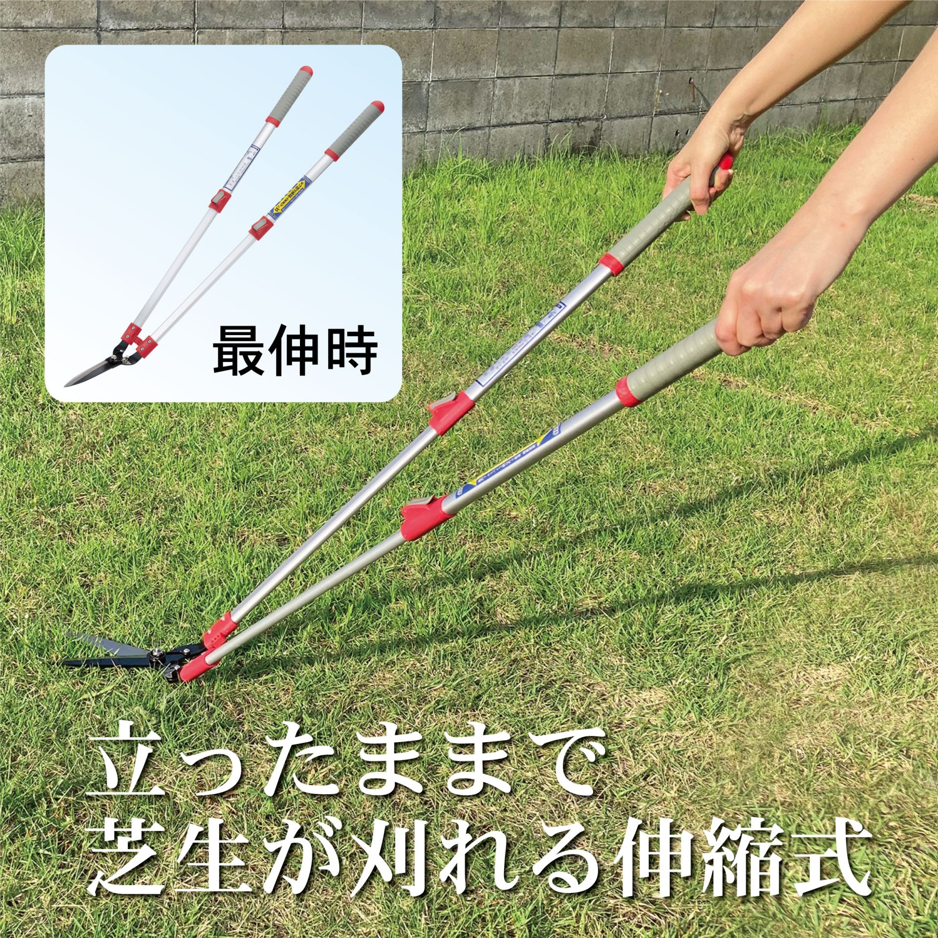 2036 - キンボシ株式会社