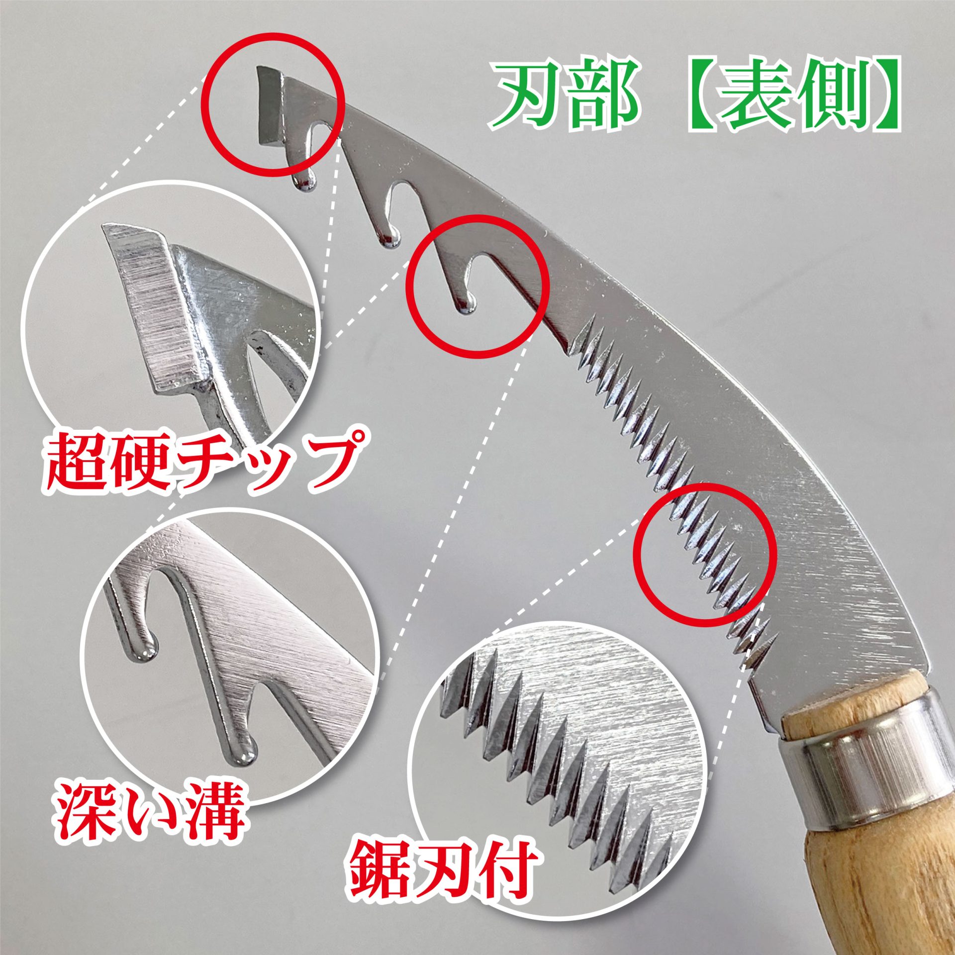 1519 - キンボシ株式会社