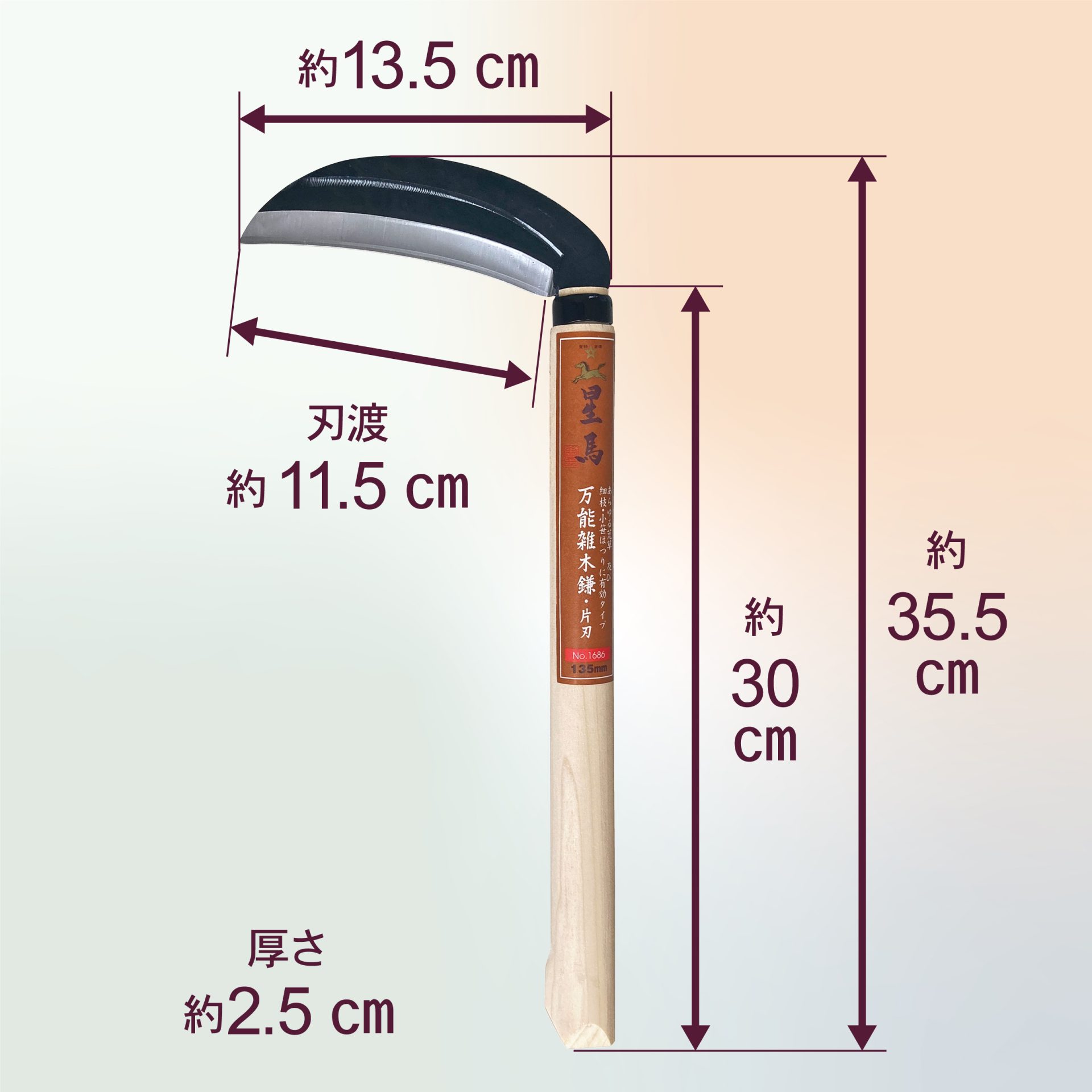 1686 - キンボシ株式会社
