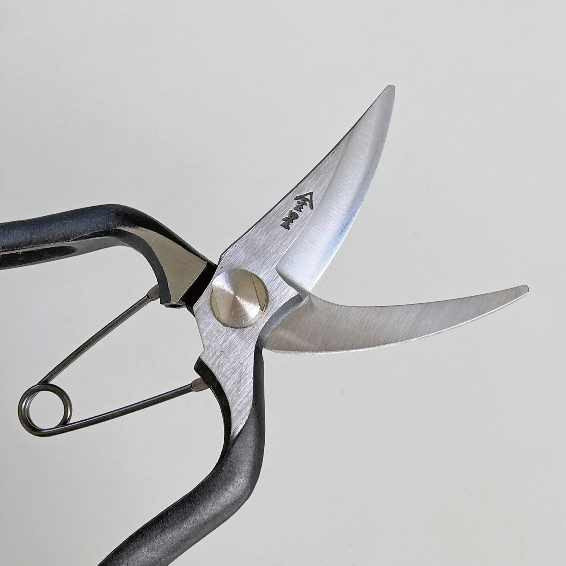 2503 - キンボシ株式会社