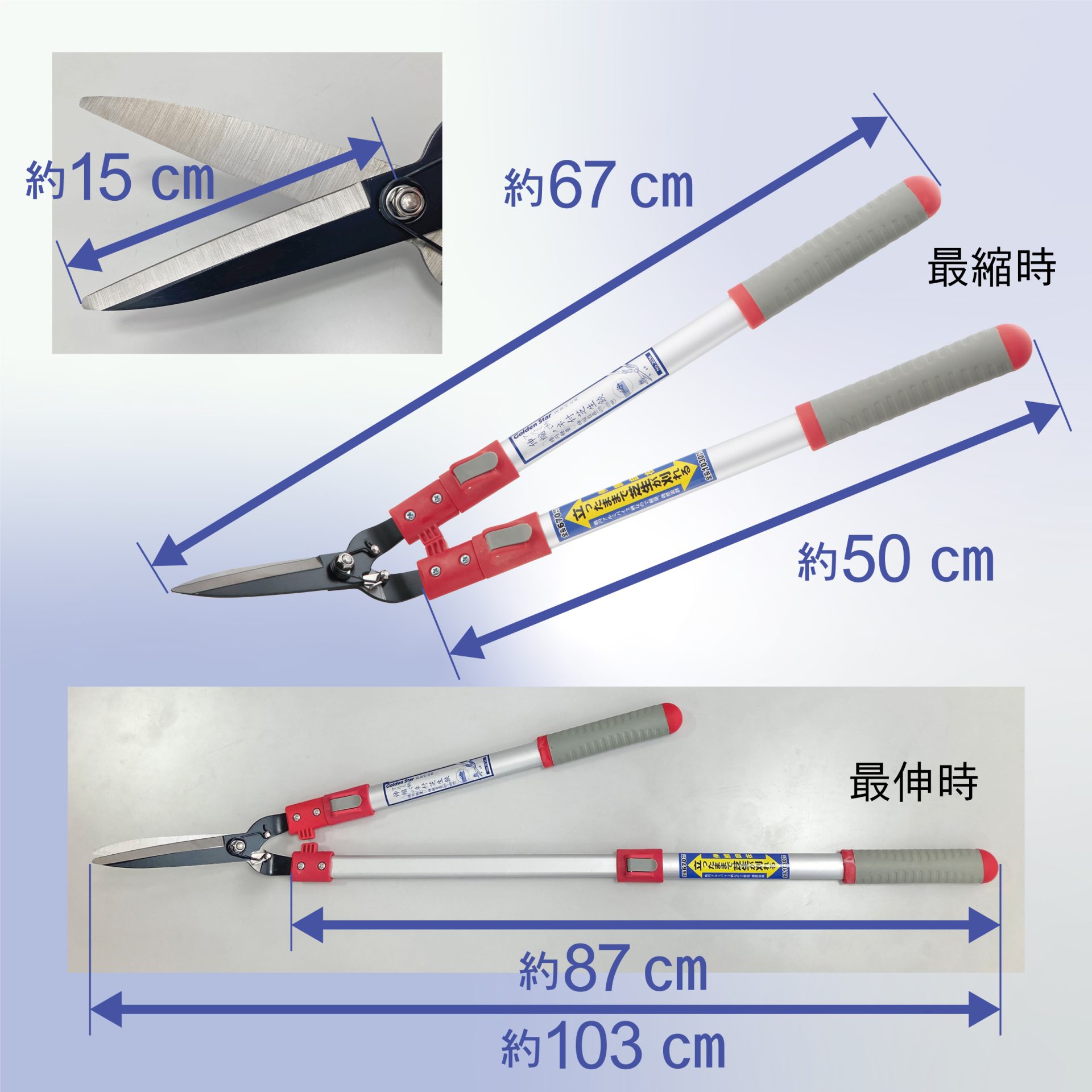 2036 - キンボシ株式会社