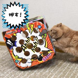 キャティーマン 猫ちゃんテンション爆アゲBOX (45280) 猫用おもちゃ