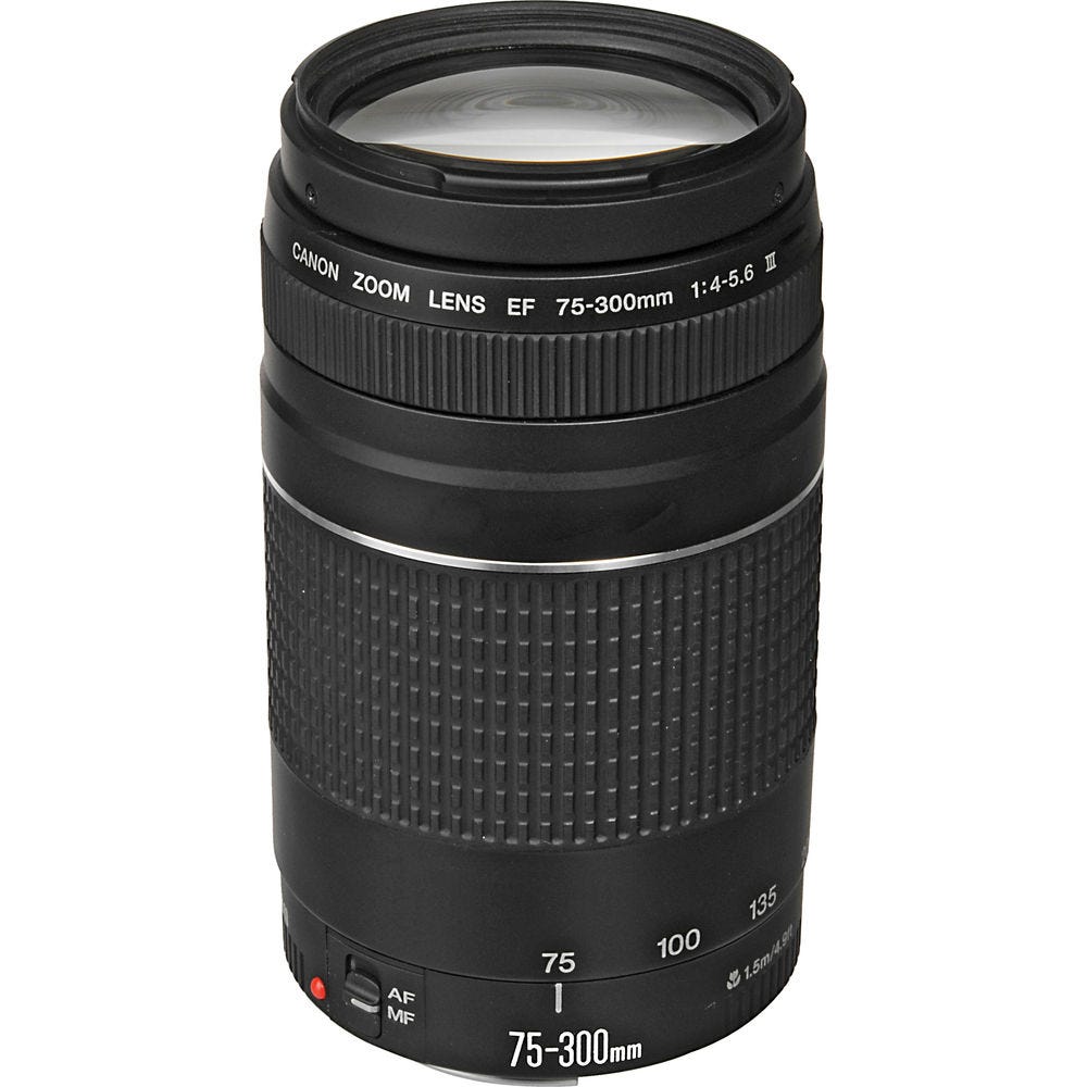 CANON EF 75-300MM F/4-5.6 III | Gosselin Photo
