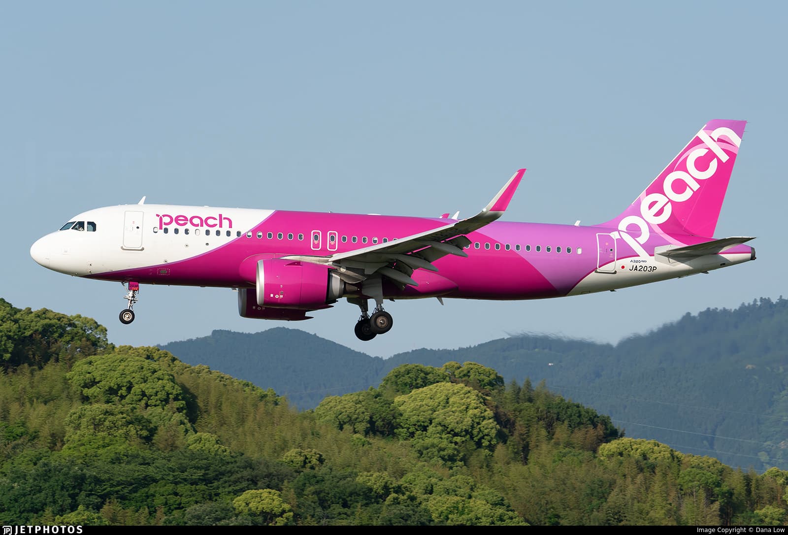 Peach Aviation A320neo - Features - Infinite Flight Community